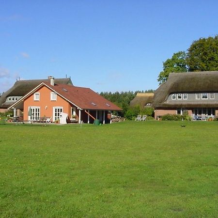 Ferienwohnung Nr 07 Og Spitzboden Born Exteriör bild